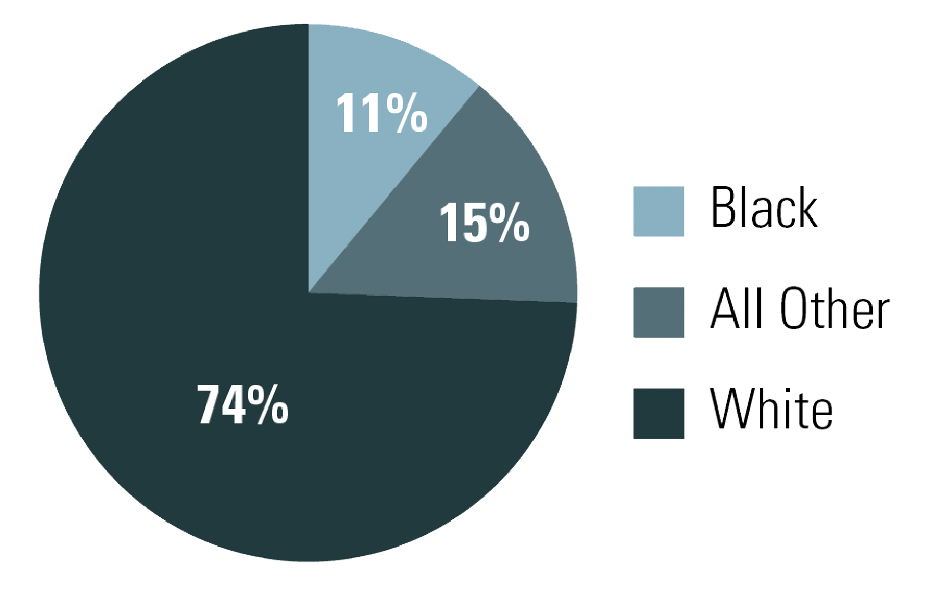 Figure 2 – Teaching Fellows Participants by Race/Ethnicity